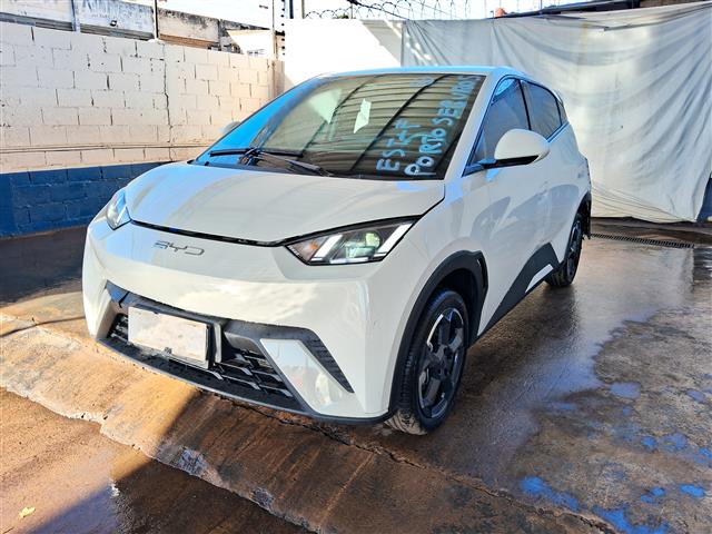 BYD Dolphin Mini (Elétrico)